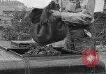 Image chariot alimenté à vapeur West Virginia United States USA, 1934, de la seconde 7 séquences d'archives historiques vidéo 65675044713