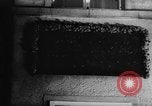 Image of Anne Frank Frankfurt Germany, 1957, second 27 stock footage video 65675044729