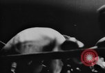 Standbild Welt Federgewicht WM-Kampf Frankreich, 1957, aus Sekunde 33 historischem Filmmaterial Videoclip 65675044734