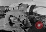 Image of crashed airliner Holland Netherlands, 1953, second 36 stock footage video 65675044740