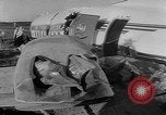 Image of crashed airliner Holland Netherlands, 1953, second 37 stock footage video 65675044740