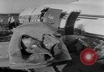 Image of crashed airliner Holland Netherlands, 1953, second 38 stock footage video 65675044740