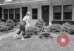 Image éduqués tondeuse à gazon New Jersey United States USA, 1953, de la seconde 10 séquences d'archives historiques vidéo 65675044745