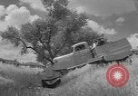 Image rolligon California United States USA, 1953, de la seconde 9 séquences d'archives historiques vidéo 65675044746