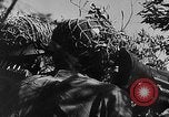 Image les troupes allemandes bataille des alliés de Monte Cassino Monte Cassino Italie, 1944, de la seconde 51 séquences d'archives historiques vidéo 65675044753