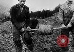 Immagine di Truppe tedesche Carpazi, 1944, secondo 21 filmato di repertorio 65675044754