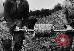 Immagine di Truppe tedesche Carpazi, 1944, secondo 22 filmato di repertorio 65675044754