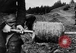 Immagine di Truppe tedesche Carpazi, 1944, secondo 23 filmato di repertorio 65675044754