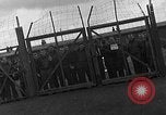 Image des prisonniers de guerre alliés Wetzlar Allemagne, 1945, de la seconde 32 séquences d'archives historiques vidéo 65675044757
