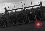 Image des prisonniers de guerre alliés Wetzlar Allemagne, 1945, de la seconde 33 séquences d'archives historiques vidéo 65675044757