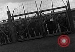 Image des prisonniers de guerre alliés Wetzlar Allemagne, 1945, de la seconde 35 séquences d'archives historiques vidéo 65675044757