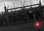 Image des prisonniers de guerre alliés Wetzlar Allemagne, 1945, de la seconde 36 séquences d'archives historiques vidéo 65675044757