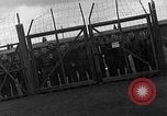 Image des prisonniers de guerre alliés Wetzlar Allemagne, 1945, de la seconde 37 séquences d'archives historiques vidéo 65675044757