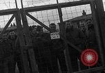 Image des prisonniers de guerre alliés Wetzlar Allemagne, 1945, de la seconde 43 séquences d'archives historiques vidéo 65675044757