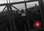 Image des prisonniers de guerre alliés Wetzlar Allemagne, 1945, de la seconde 44 séquences d'archives historiques vidéo 65675044757