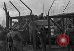 Immagine di Allied i prigionieri di guerra Wetzlar Germania, 1945, secondo 7 filmato di repertorio 65675044759