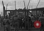 Immagine di Allied i prigionieri di guerra Wetzlar Germania, 1945, secondo 10 filmato di repertorio 65675044759