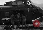 Image of Korean war Korea, 1952, second 48 stock footage video 65675044760
