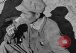 Image of Unites States Marines Korea, 1952, second 6 stock footage video 65675044761