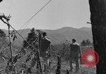 Image of Unites States Marines Korea, 1952, second 26 stock footage video 65675044761