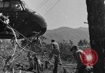 Image of Unites States Marines Korea, 1952, second 29 stock footage video 65675044761