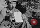 Image of United States Marines Korea, 1952, second 14 stock footage video 65675044762