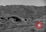 Image of US Army M4 Sherman tanks in Korean War Korea, 1952, second 23 stock footage video 65675044764