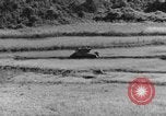 Image of US Army M4 Sherman tanks in Korean War Korea, 1952, second 43 stock footage video 65675044764