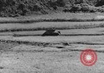 Image of US Army M4 Sherman tanks in Korean War Korea, 1952, second 44 stock footage video 65675044764