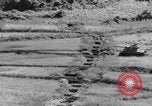 Image of US Army M4 Sherman tanks in Korean War Korea, 1952, second 45 stock footage video 65675044764