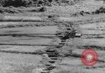 Image of US Army M4 Sherman tanks in Korean War Korea, 1952, second 48 stock footage video 65675044764
