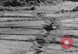 Image of US Army M4 Sherman tanks in Korean War Korea, 1952, second 49 stock footage video 65675044764