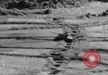 Image of US Army M4 Sherman tanks in Korean War Korea, 1952, second 50 stock footage video 65675044764