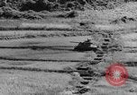 Image of US Army M4 Sherman tanks in Korean War Korea, 1952, second 51 stock footage video 65675044764