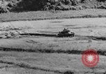 Image of US Army M4 Sherman tanks in Korean War Korea, 1952, second 57 stock footage video 65675044764