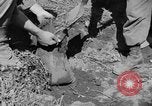 Image of 1st Battalion Korea, 1952, second 22 stock footage video 65675044765