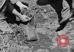 Image of 1st Battalion Korea, 1952, second 23 stock footage video 65675044765