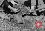 Image of 1st Battalion Korea, 1952, second 24 stock footage video 65675044765
