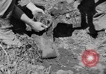 Image of 1st Battalion Korea, 1952, second 25 stock footage video 65675044765