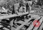 Image of 1st Battalion Korea, 1952, second 31 stock footage video 65675044765