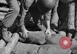 Image of 1st Battalion Korea, 1952, second 41 stock footage video 65675044765