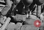 Image of 1st Battalion Korea, 1952, second 42 stock footage video 65675044765