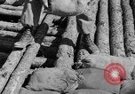 Image of 1st Battalion Korea, 1952, second 44 stock footage video 65675044765