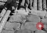Image of 1st Battalion Korea, 1952, second 47 stock footage video 65675044765