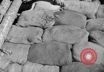 Image of 1st Battalion Korea, 1952, second 48 stock footage video 65675044765