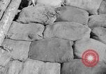 Image of 1st Battalion Korea, 1952, second 49 stock footage video 65675044765