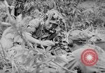 Image of Viet Minh soldiers Indochina, 1950, second 27 stock footage video 65675044766