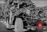 Image of Viet Minh soldiers Indochina, 1950, second 32 stock footage video 65675044766