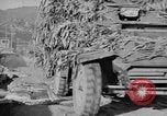 Image of Viet Minh soldiers Indochina, 1950, second 34 stock footage video 65675044766