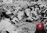 Image of Viet Minh soldiers Indochina, 1950, second 41 stock footage video 65675044766